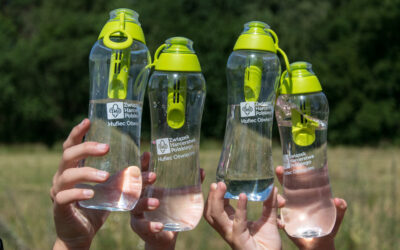 Jak harcerze dbają o środowisko?