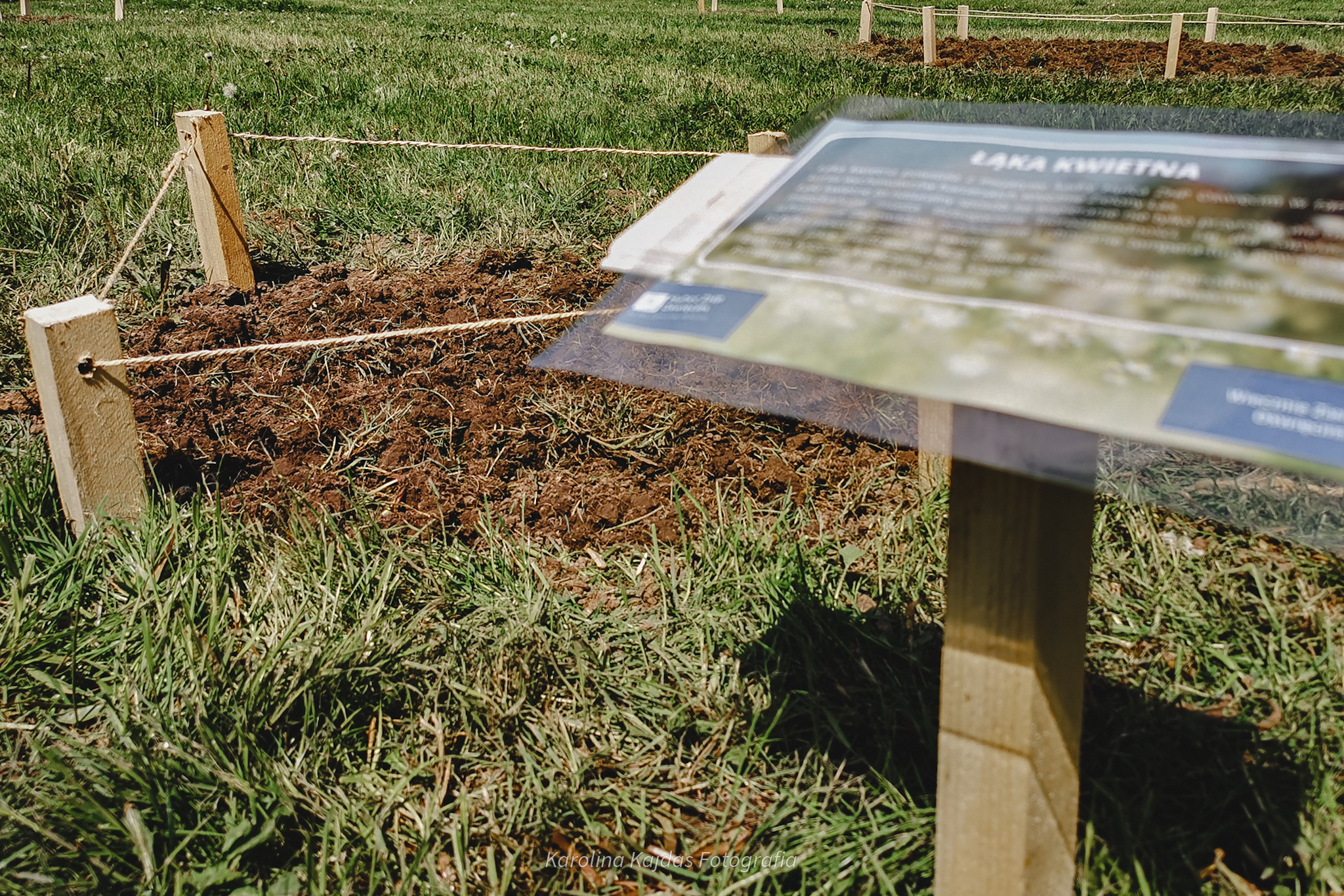 Łąka kwietna Zdjęcie przedstawia łąkę kwietną, stworzoną przez harcerzy.